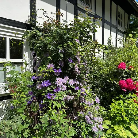 Fachwerkliebe Ornes 2 *