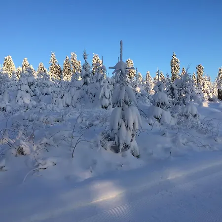 Apartment Fachwerkliebe Ornes 2