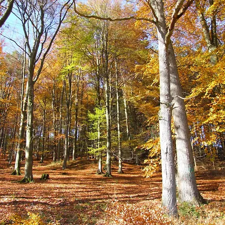 Fachwerkliebe Ornes 2