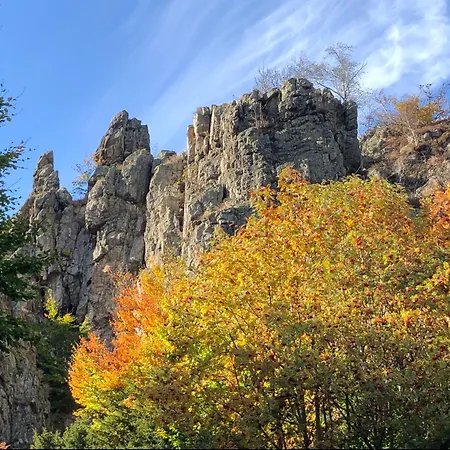 Apartment Fachwerkliebe Ornes 2 Olsberg