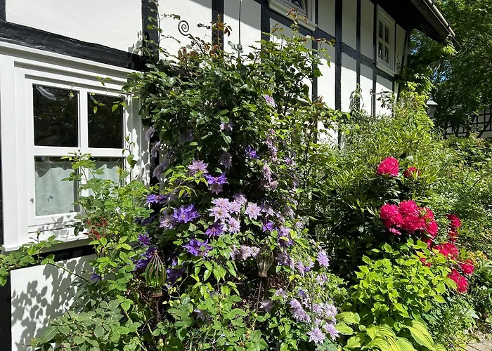 Fachwerkliebe Ornes 2 *