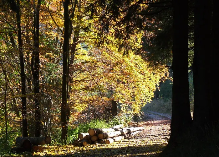 Fachwerkliebe Ornes 2 *