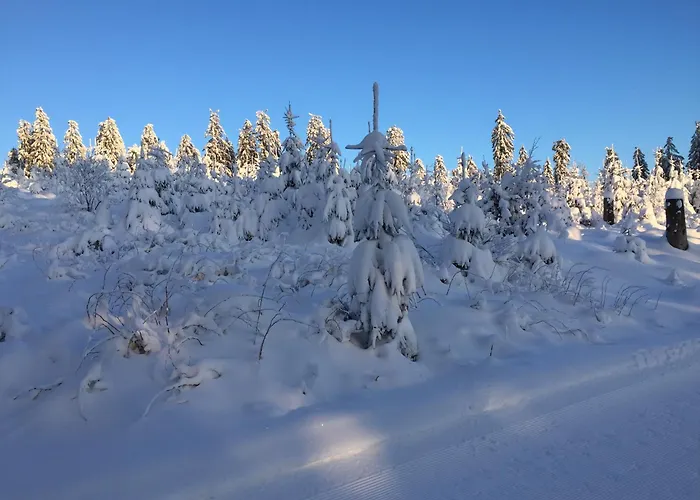 Appartement Fachwerkliebe Ornes 2