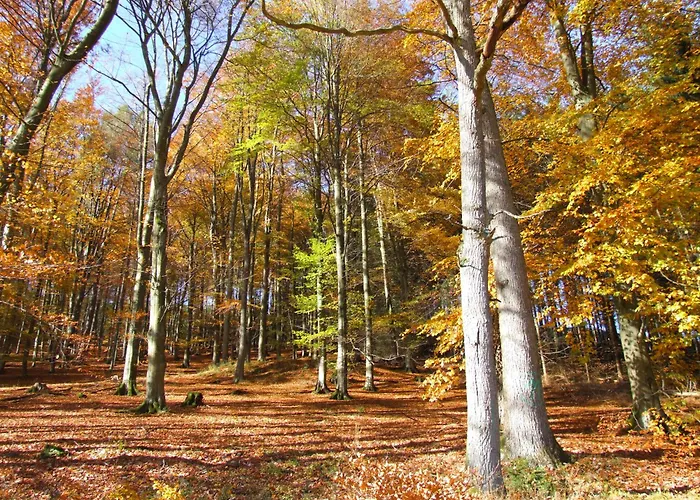 Fachwerkliebe Ornes 2