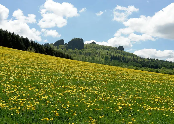 Fachwerkliebe Ornes 2 Appartement *
