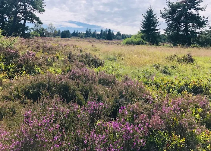 Appartement Fachwerkliebe Ornes 2 Olsberg